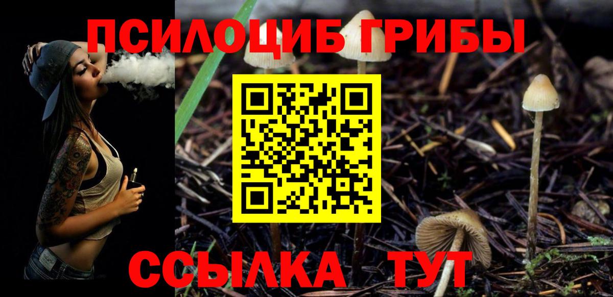 Галлюциногенные грибы мухоморы  Вход с VPN  Михайловск 